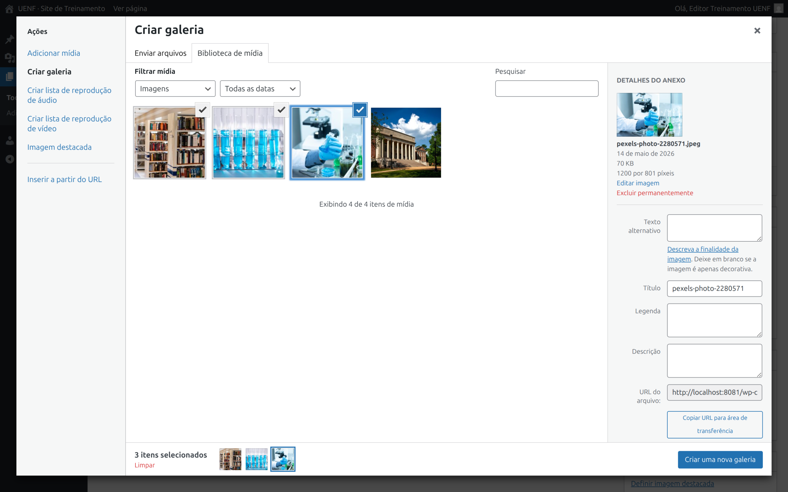 Janela Adicionar mídia no modo Criar galeria com várias imagens selecionadas