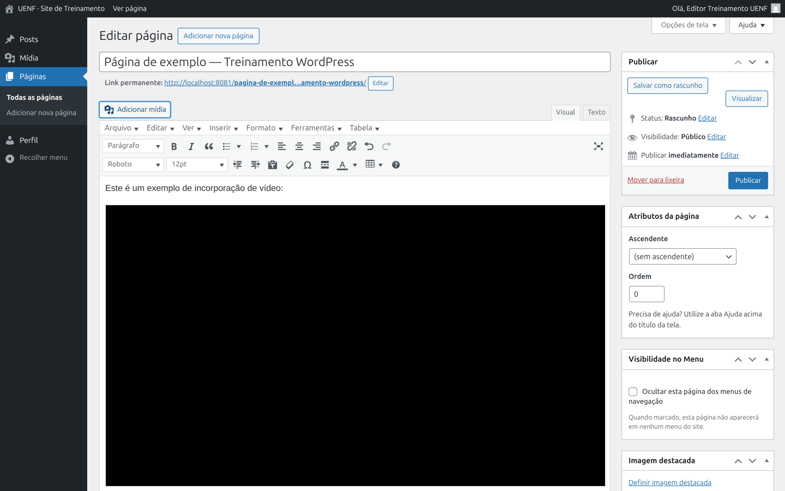 Editor com URL do YouTube colada e player embutido aparecendo