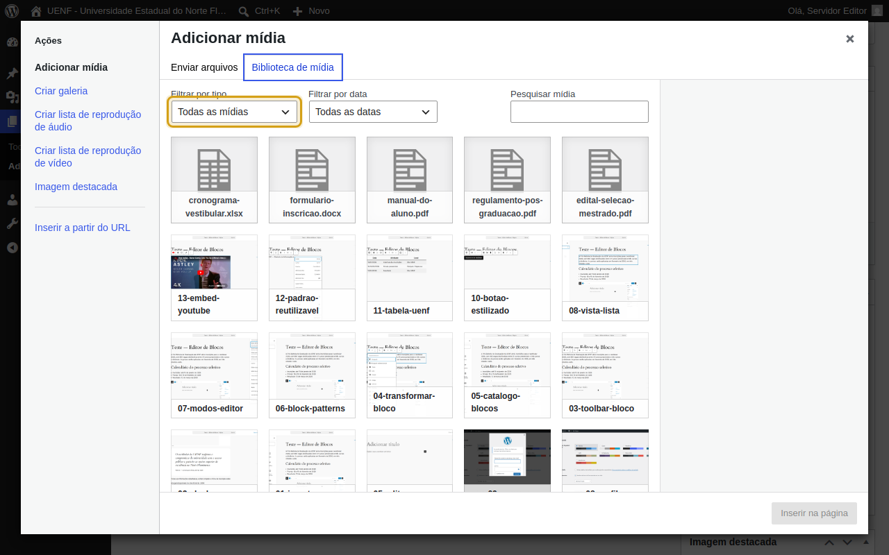 Janela Adicionar mídia exibindo filtros de tipo para localizar arquivos PDF