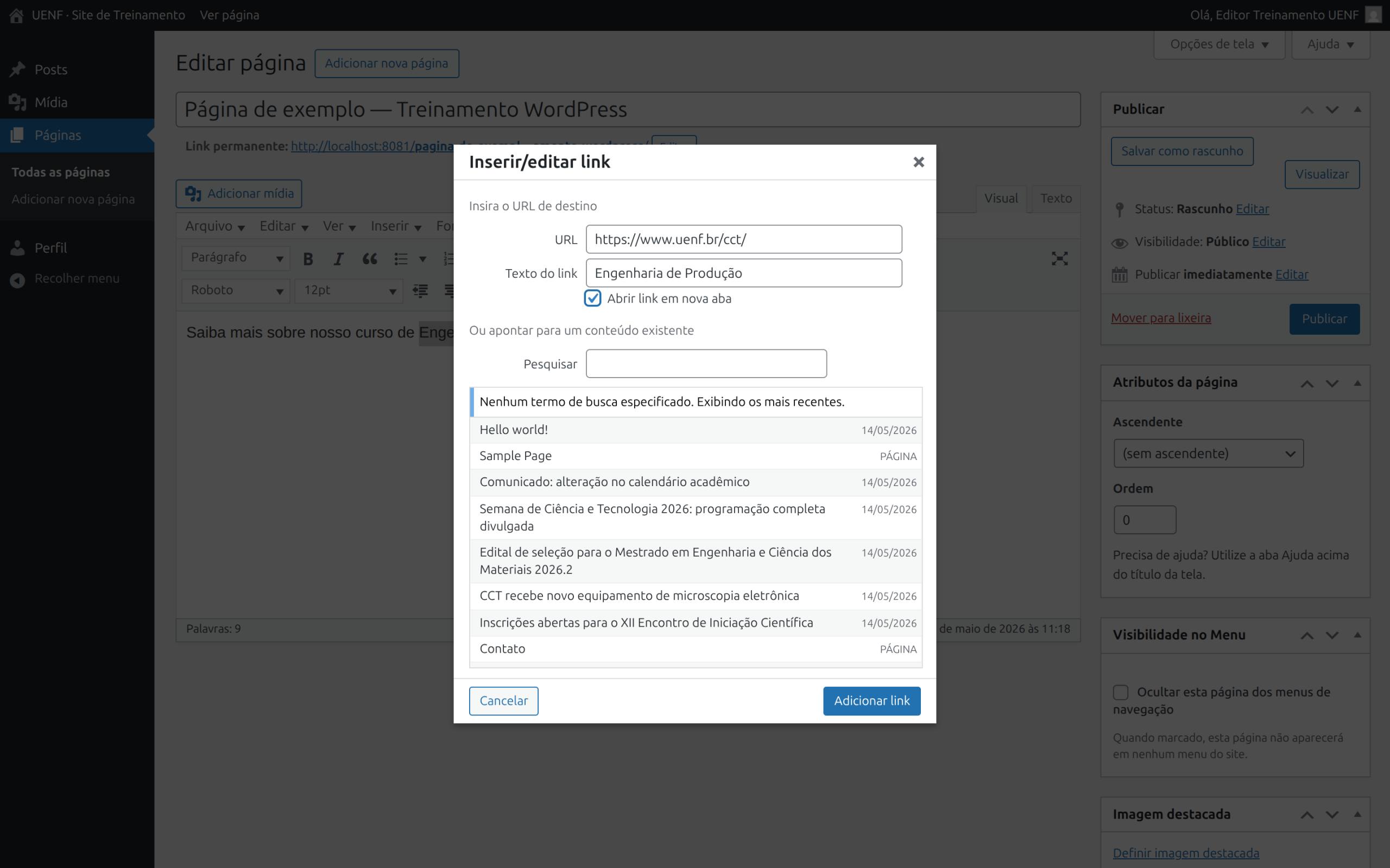 Diálogo de link com URL externa preenchida e checkbox Abrir em nova aba marcada