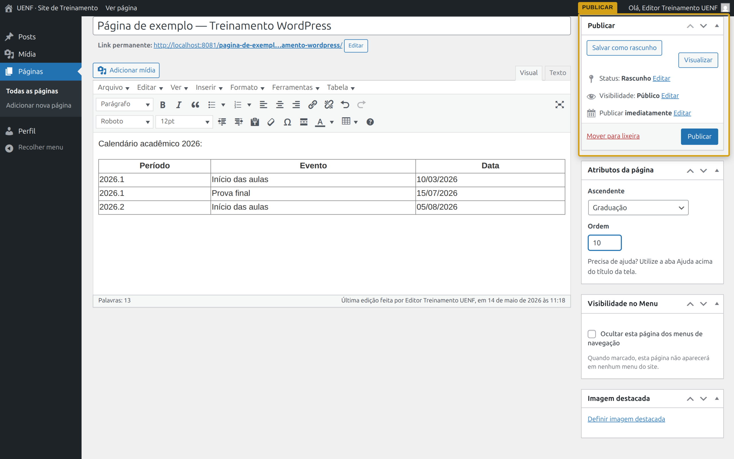 Box Publicar lateral com Salvar rascunho, Visualizar, Status e botão Publicar