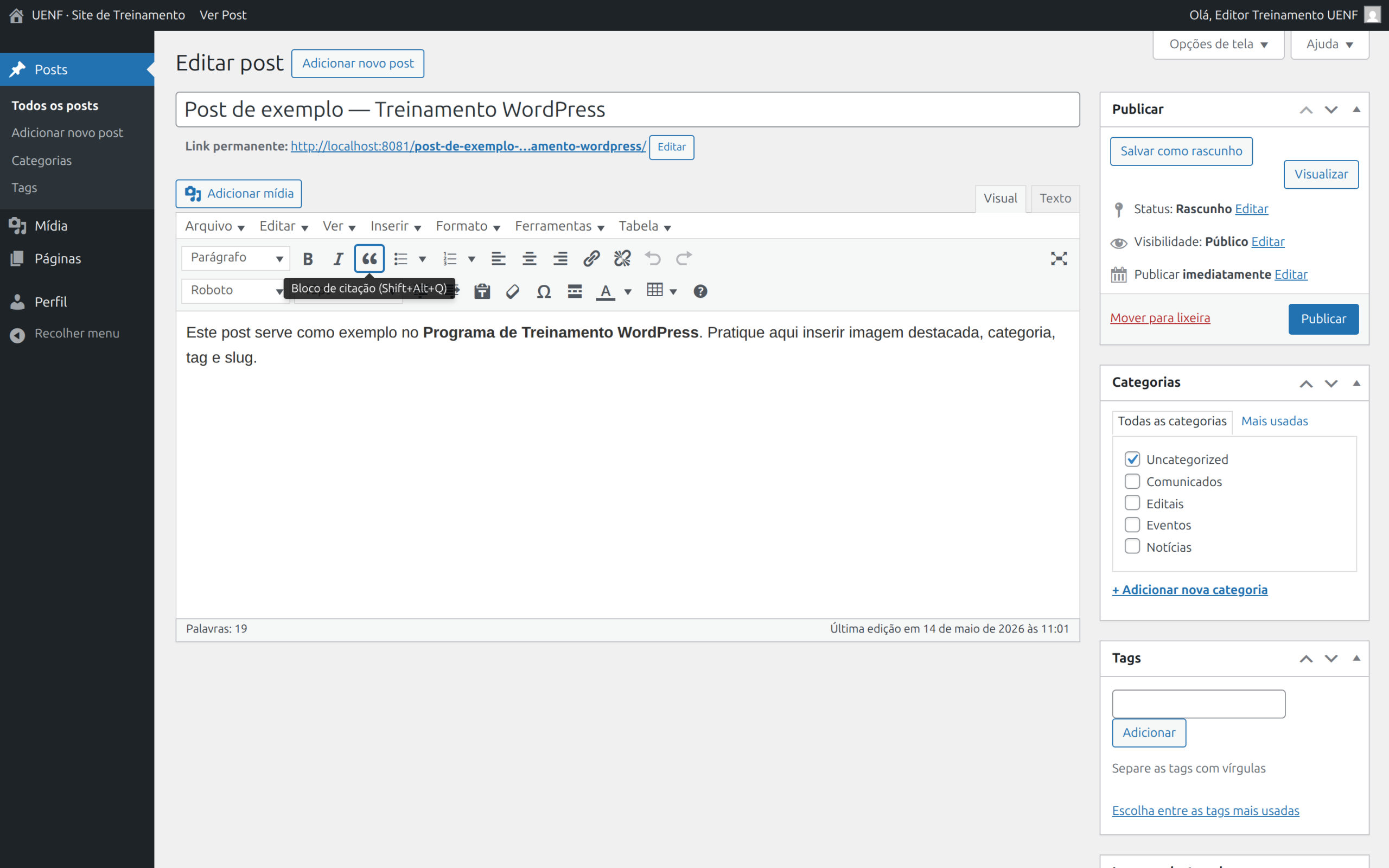 Editor de post completo mostrando título, conteúdo e metaboxes laterais